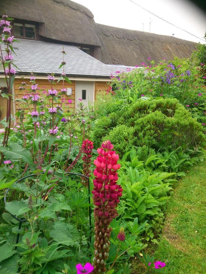 The Steppes Holiday Cottages Hereford Buitenkant foto